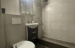 Apartament cu 3 camere, 67mp, Podu Ros Palas