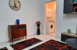 Apartament 2 camere, 45 mp, zona Mircea
