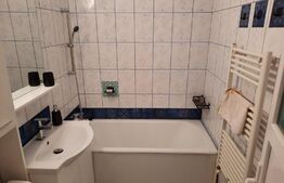 Apartament 2 camere, 45 mp, zona Mircea