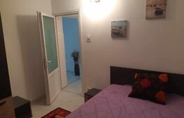 Apartament 2 camere, 45 mp, zona Mircea