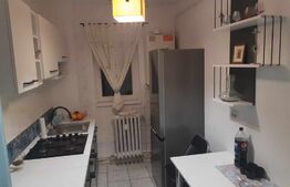 Apartament 2 camere, 45 mp, zona Mircea