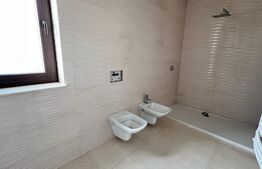 Casa 5 camere, 360mp, Lunca Cetatuii