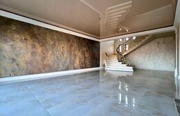 Casa 5 camere, 360mp, Lunca Cetatuii