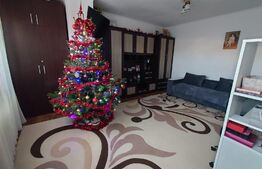 Casa 4 camere, 70 mp utili, 50 mp teren, Palas Campus