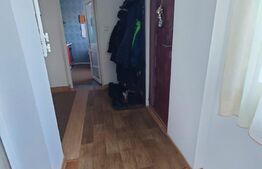 Casa 4 camere, 70 mp utili, 50 mp teren, Palas Campus