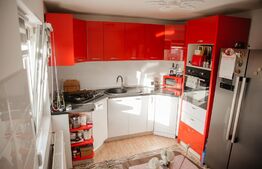 Casa 6 camere, 119mp, Lunca Cetatuii