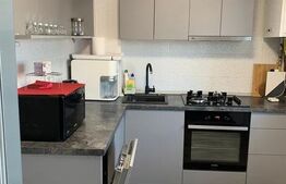 Apartament 2 camere, 55mp, Tatarasi