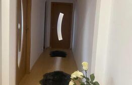 Apartament de 3 camere, 70mp, Podu Ros