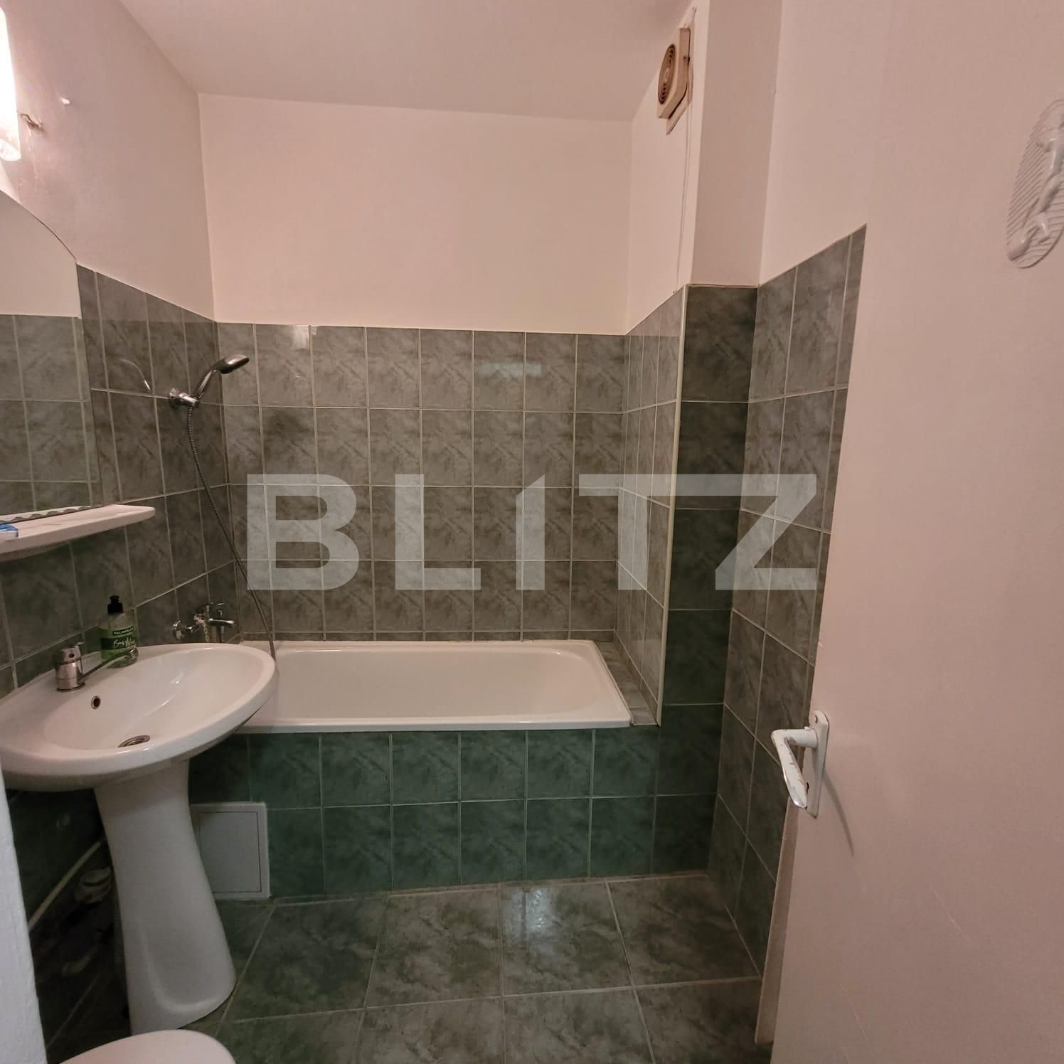 Apartament de închiriat 3 camere Tatarasi - 134311AI | BLITZ Iași | Poza7