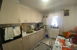 Apartament 1 camera, decomandat, 32 mp, zona Lunca Cetatuii 