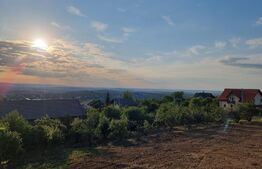 Casa cu priveliste deosebita, 4 camere,  120 mp util,  939 mp teren, Barnova