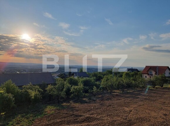 Casa de vânzare 4 camere Pietrarie - 134603CV | BLITZ Iași | Poza6