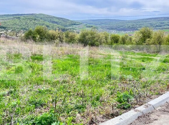 Teren de vânzare Tomesti - 134619TV | BLITZ Iași | Poza2