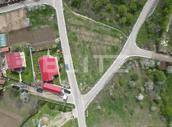 Teren de vânzare Tomesti - 134619TV | BLITZ Iași | Poza1