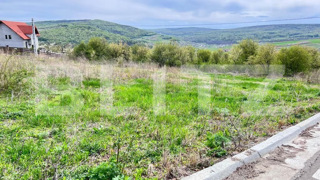 Teren de vânzare Tomesti - 134619TV | BLITZ Iași | Poza2