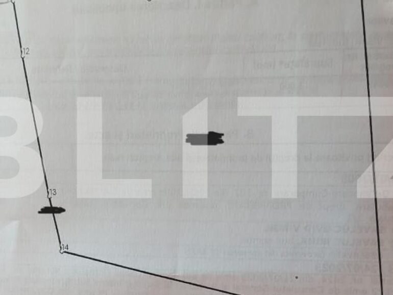 Teren de vânzare Visani - 134885TV | BLITZ Iași | Poza1