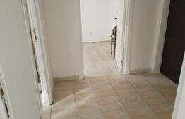 Apartament 3 camere, 63 mp, zona Palas