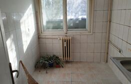 Apartament 3 camere, 63 mp, zona Palas