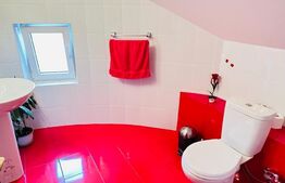 Casa boiereasca, rafinata si luxoasa cu 8 camere, 480mp,  Chicerea