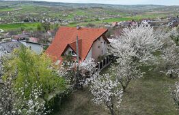 Casa boiereasca, rafinata si luxoasa cu 8 camere, 480mp,  Chicerea
