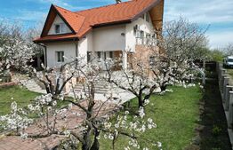 Casa boiereasca, rafinata si luxoasa cu 8 camere, 480mp,  Chicerea