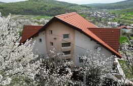 Casa boiereasca, rafinata si luxoasa cu 8 camere, 480mp,  Chicerea