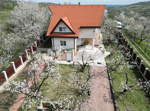 Casa de vânzare 8 camere Tomesti - 135142CV | BLITZ Iași | Poza3