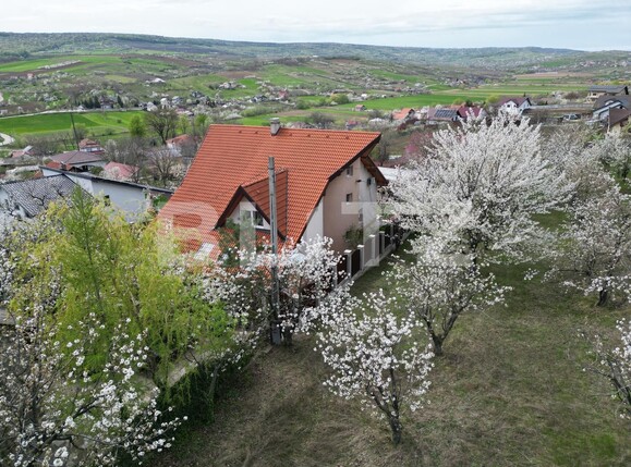 Casa de vânzare 8 camere Tomesti - 135142CV | BLITZ Iași | Poza4