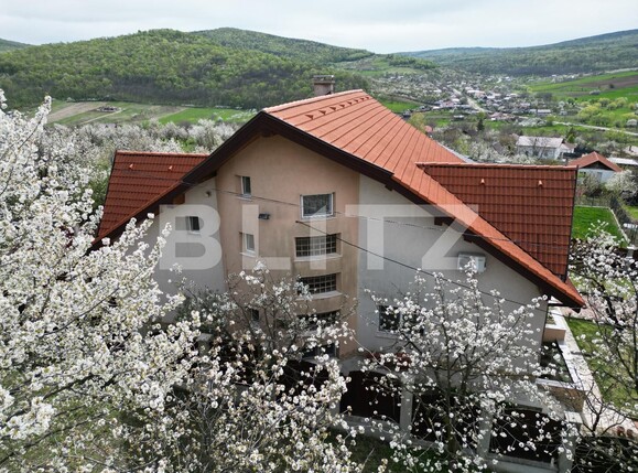 Casa de vânzare 8 camere Tomesti - 135142CV | BLITZ Iași | Poza1