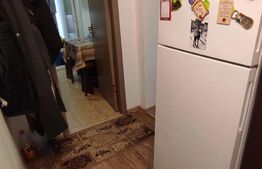Apartament de 2 camere, 45mp, zona Podu Ros