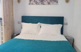 Apartament de 1 camera, 25mp, zona Galata