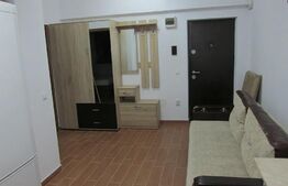 Apartament de 1 camera, zona Palas