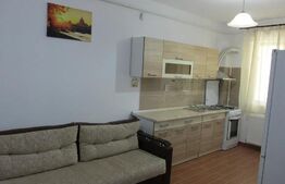 Apartament de 1 camera, zona Palas