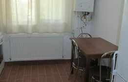 Apartament de 1 camera, zona Palas