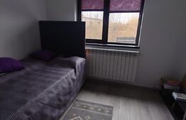 Casa 140 mp util si 440 mp teren in Dorobanti, com. Aroneanu