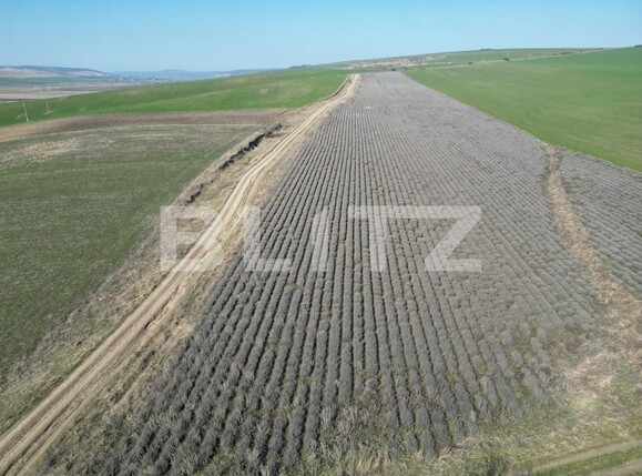 Teren de vânzare Dobrovat - 136046TV | BLITZ Iași | Poza1