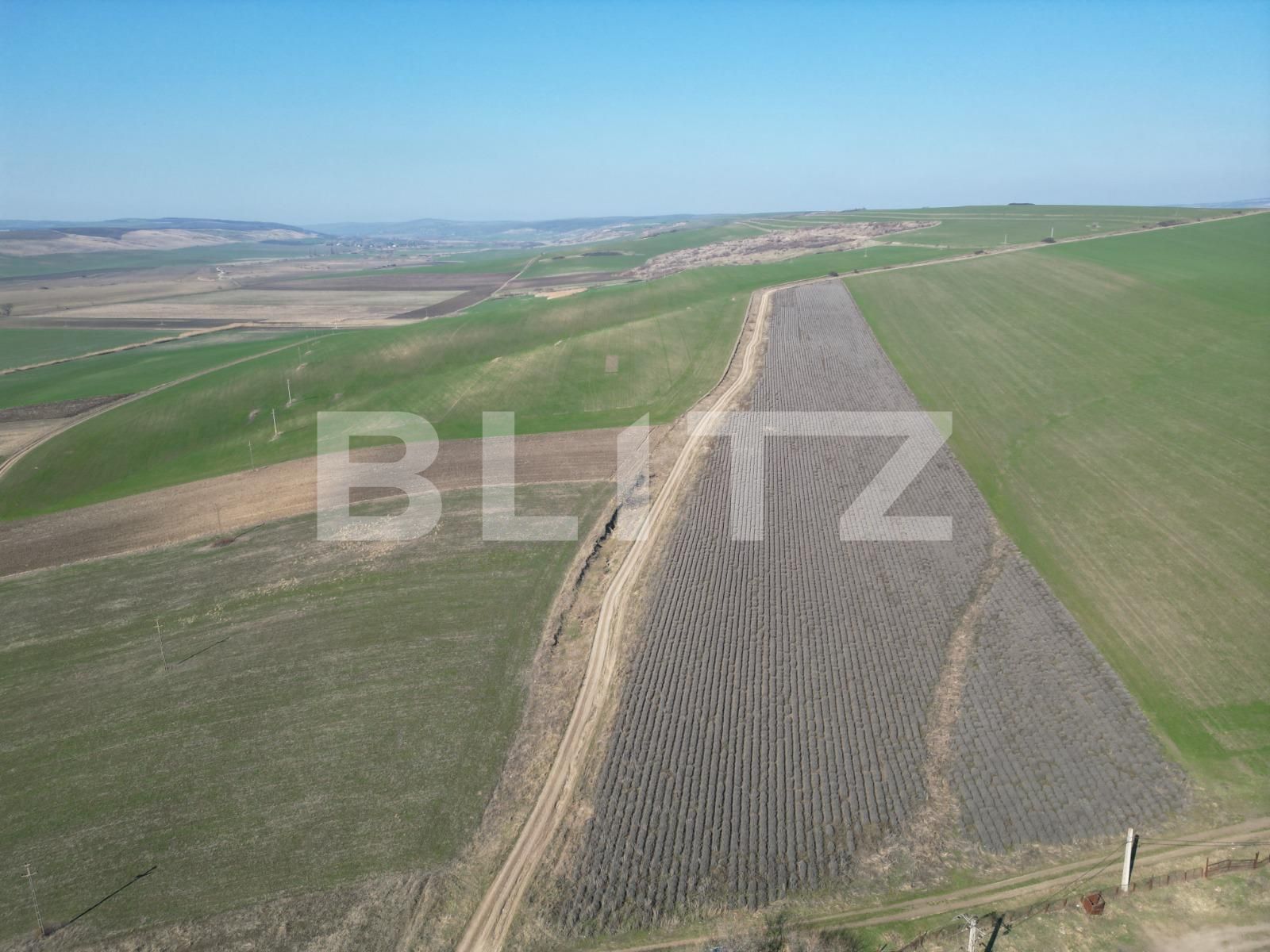 Teren de vânzare Dobrovat - 136046TV | BLITZ Iași | Poza4