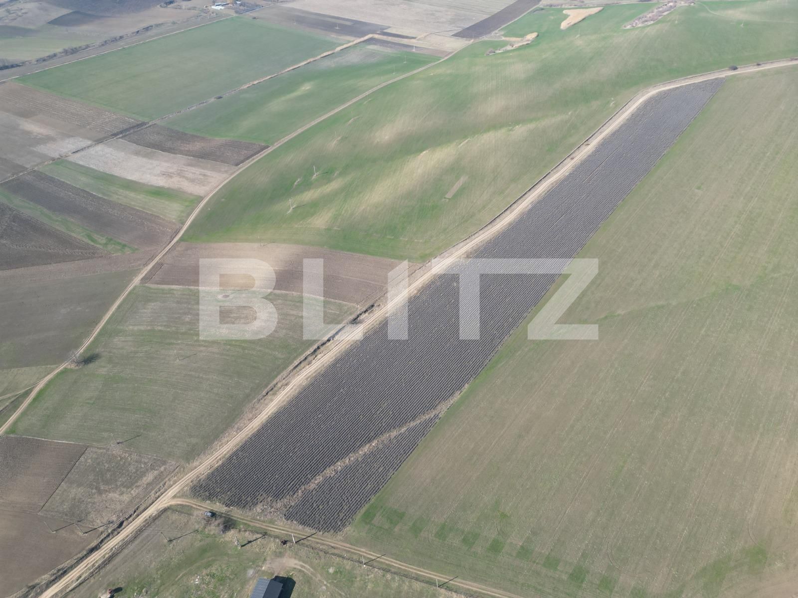 Teren de vânzare Dobrovat - 136046TV | BLITZ Iași | Poza5