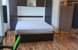 Apartament 1 camera, 30mp, zona Palat