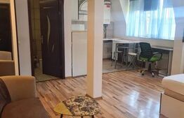 Apartament 1 camera, 30mp, zona Palat