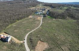 Teren 1200mp, langa padure, zona Bucium-Pietrarie