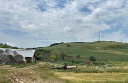 Teren Extravilan Rediu, 3600 mp