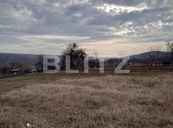 Teren de vânzare Dobrovat - 136389TV | BLITZ Iași | Poza3