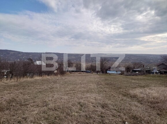 Teren de vânzare Dobrovat - 136389TV | BLITZ Iași | Poza2