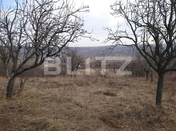 Teren de vânzare Dobrovat - 136389TV | BLITZ Iași | Poza6