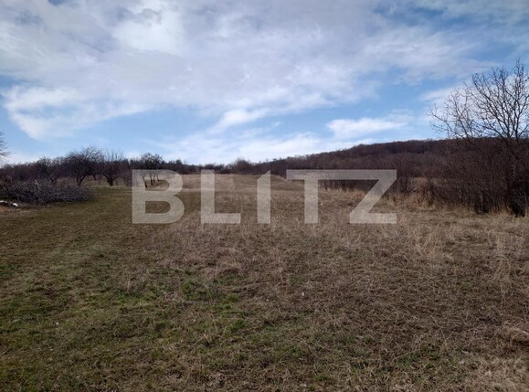 Teren de vânzare Dobrovat - 136389TV | BLITZ Iași | Poza4