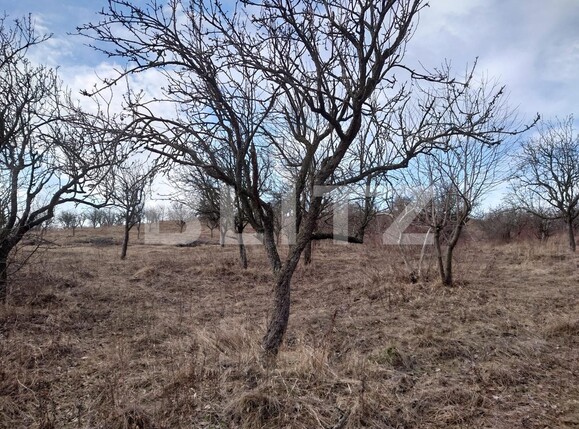 Teren de vânzare Dobrovat - 136389TV | BLITZ Iași | Poza1