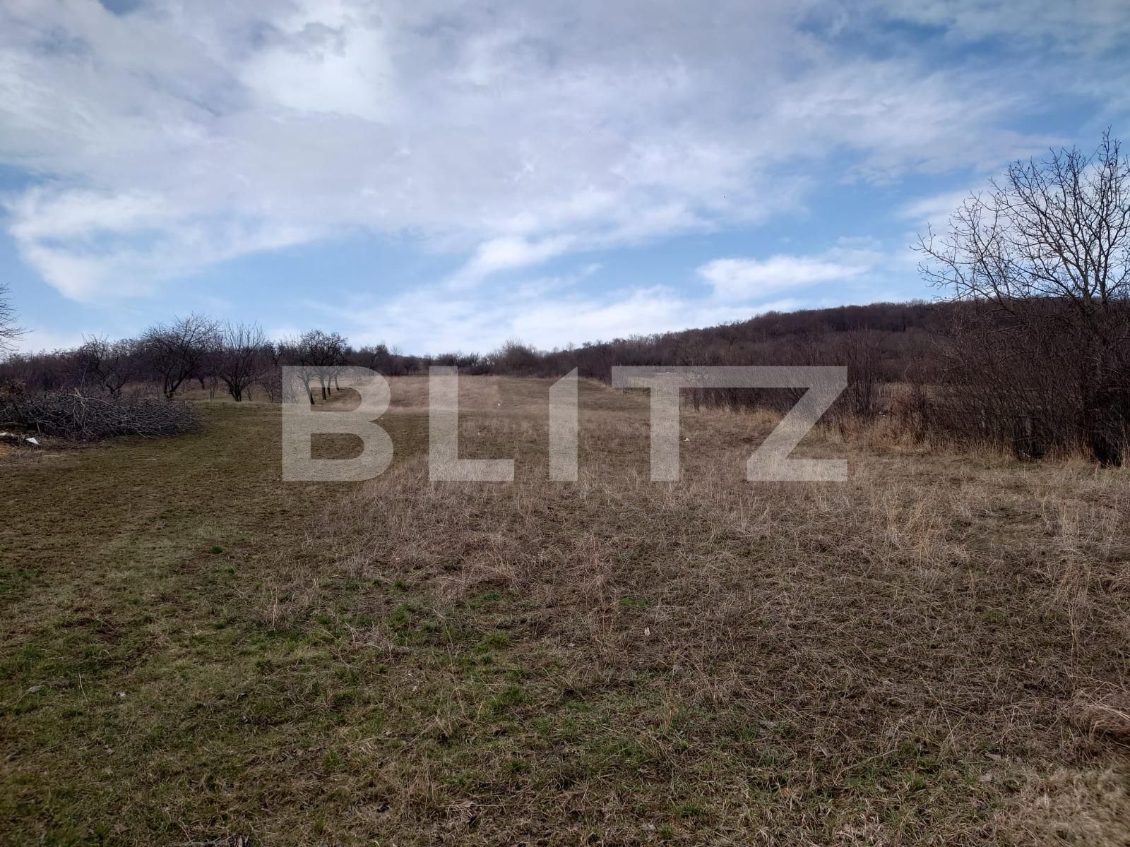 Teren de vânzare Dobrovat - 136389TV | BLITZ Iași | Poza4