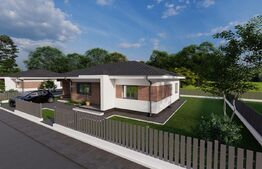 Casa Individuala, plan parter, 82.50 mp utili +450 mp teren, Barnova