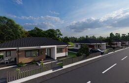 Casa Individuala, plan parter, 82.50 mp utili +450 mp teren, Barnova